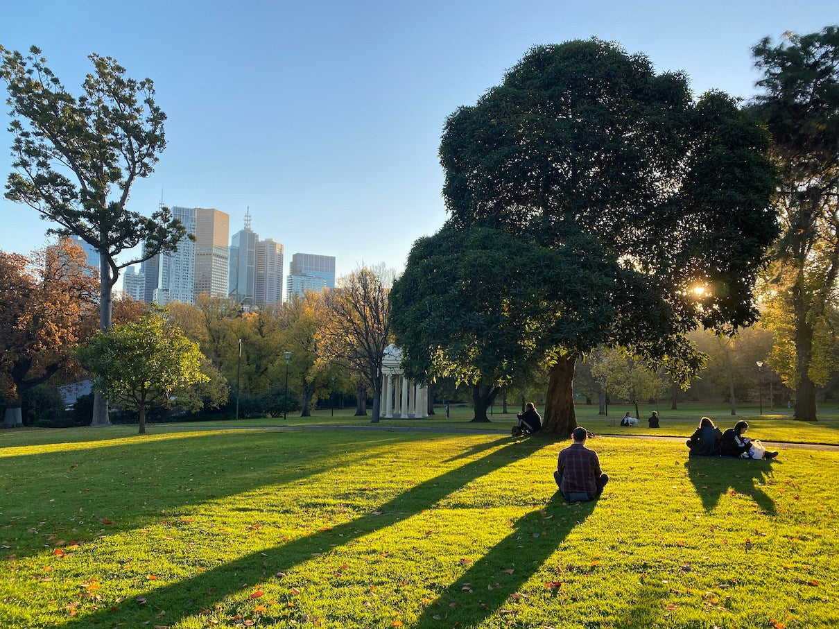 Melbourne park and sunset the perfect place for a BBQ.