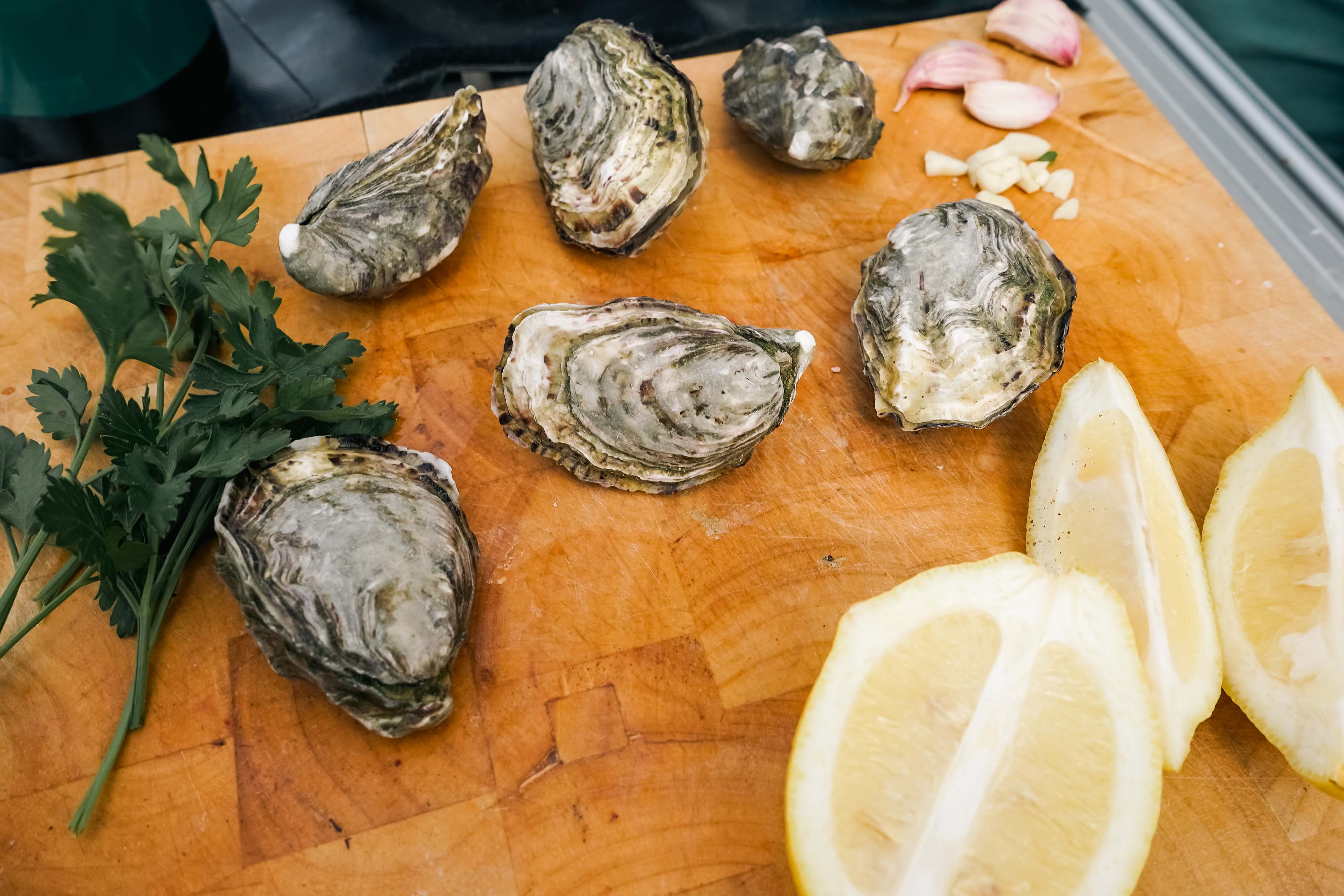 STOVVED OYSTERS