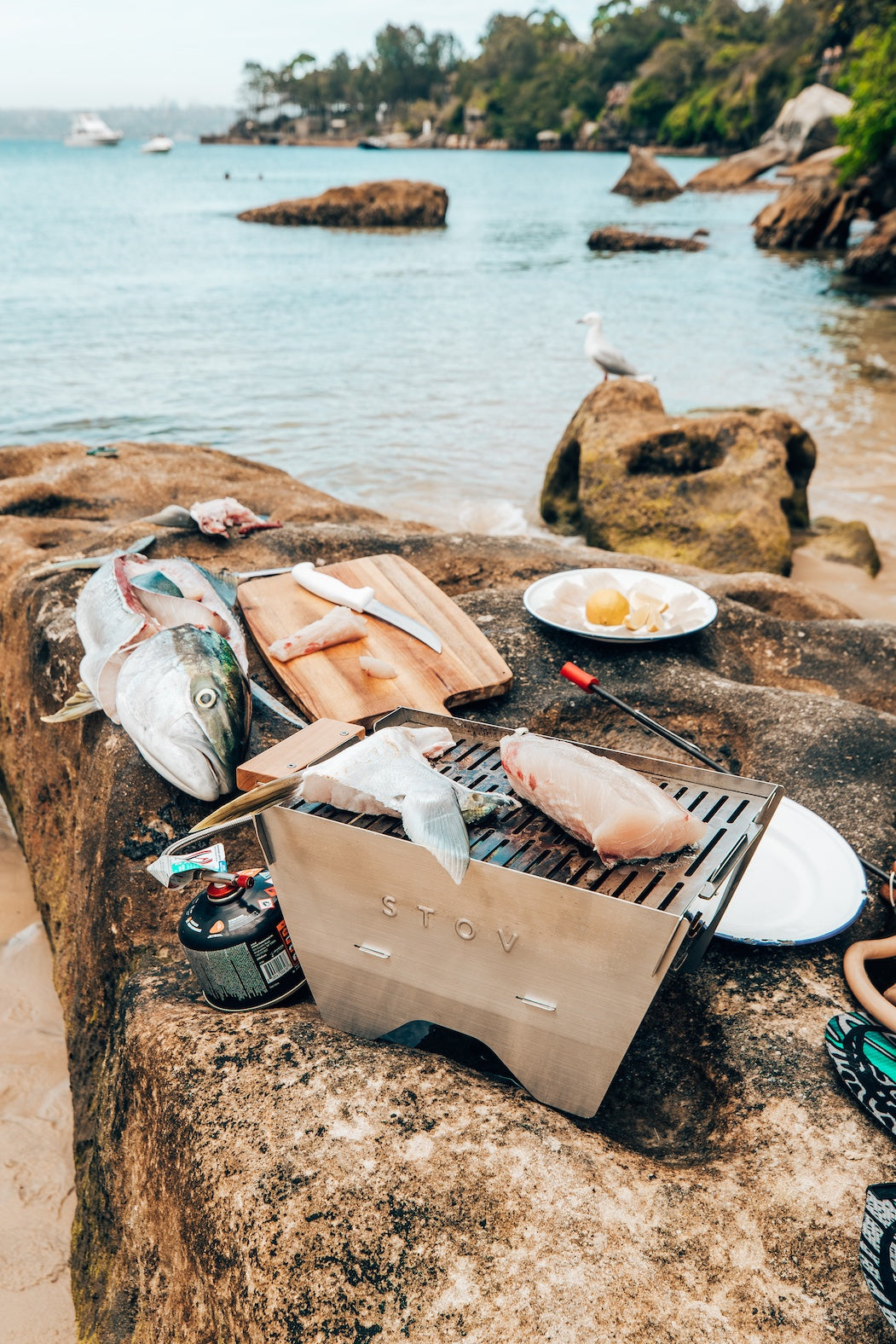 Kingfish on the STOV BBQ after a successful spearfishing session in Sydney.