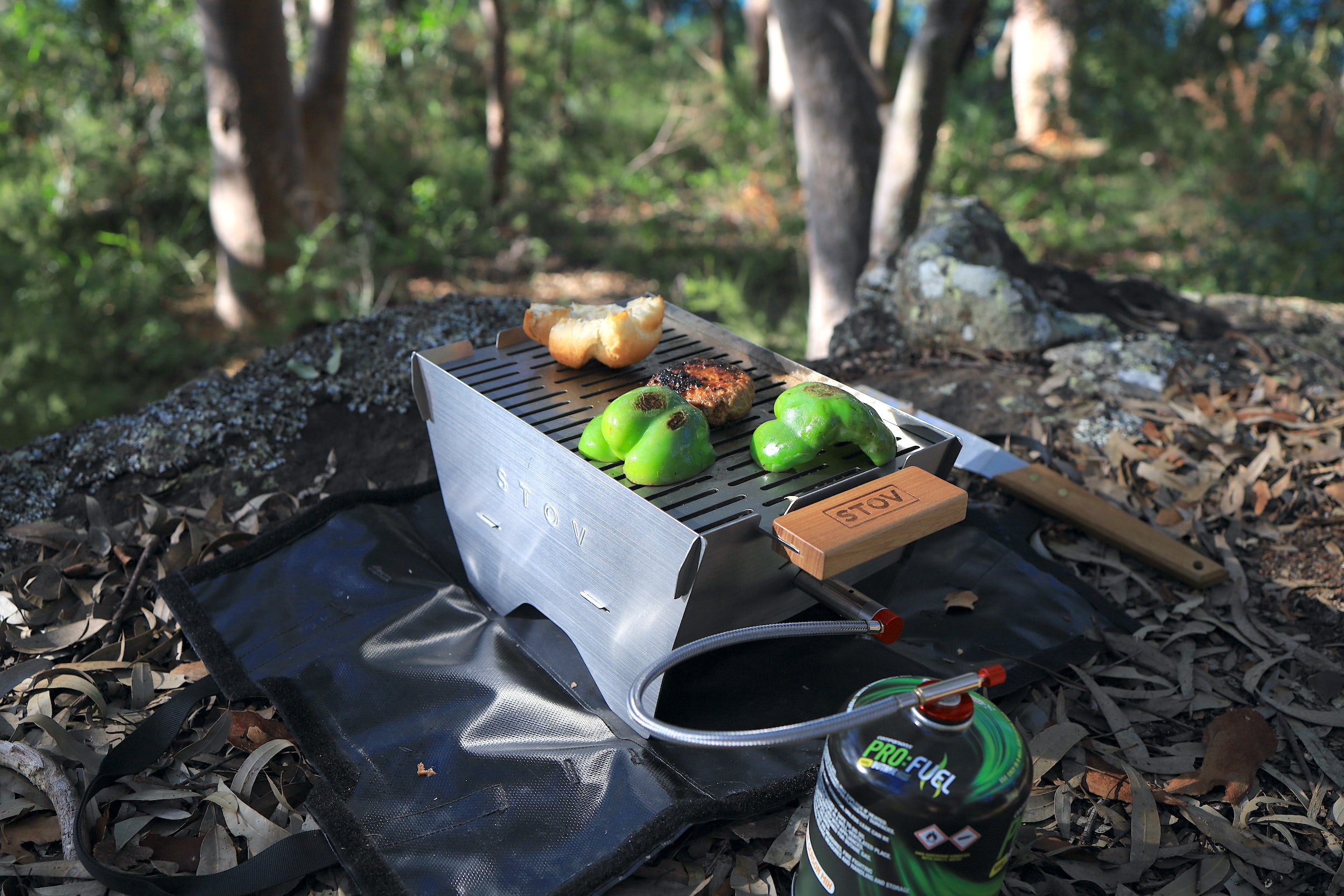 Already a great barbecue under the portable BBQs that suit everyones outdoor cooking experience