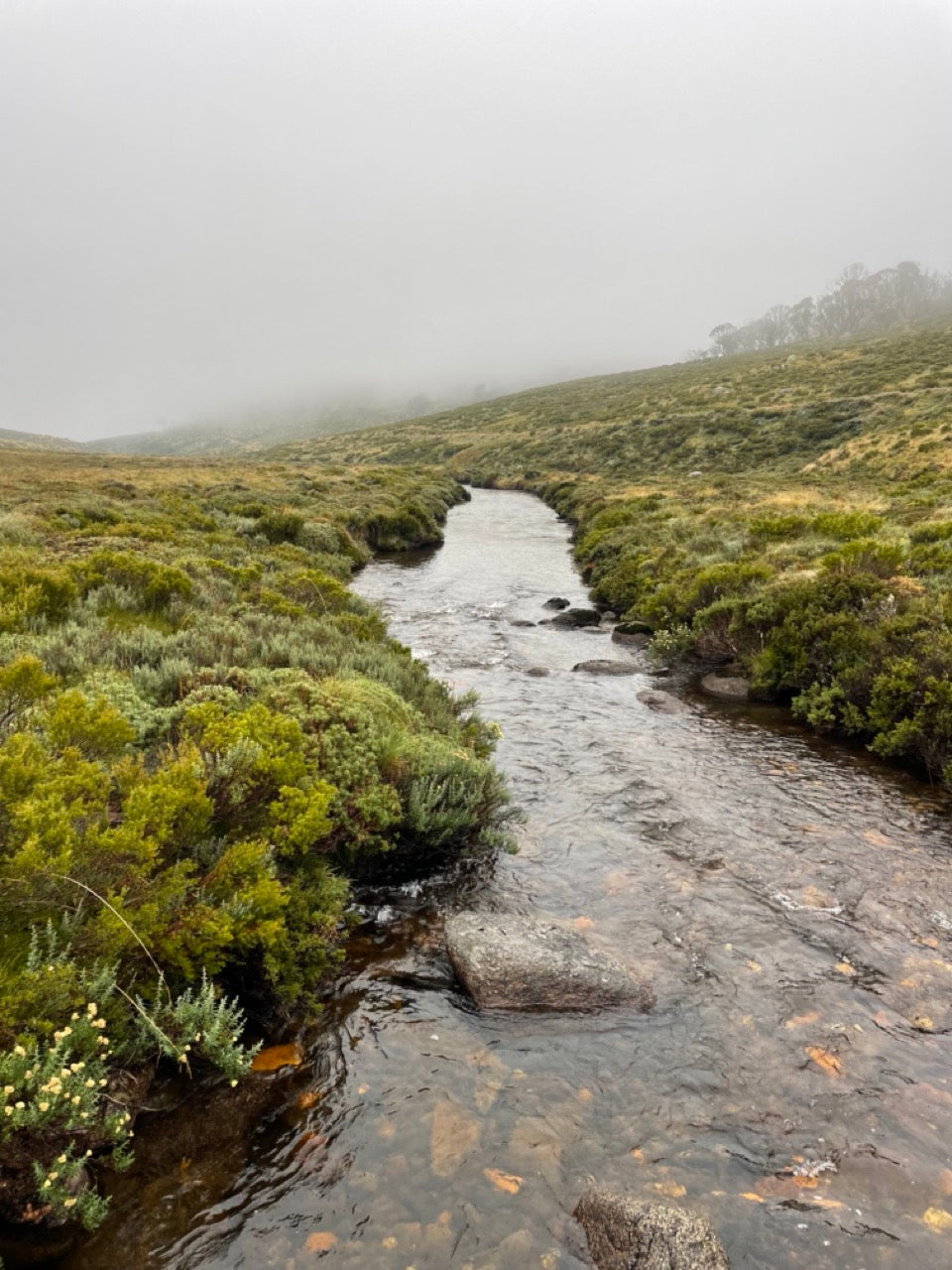 Best winter adventures with the STOV BBQ in the Kosciuszko NP
